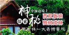 女自慰无套免费网站